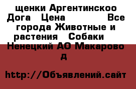 щенки Аргентинскоо Дога › Цена ­ 25 000 - Все города Животные и растения » Собаки   . Ненецкий АО,Макарово д.